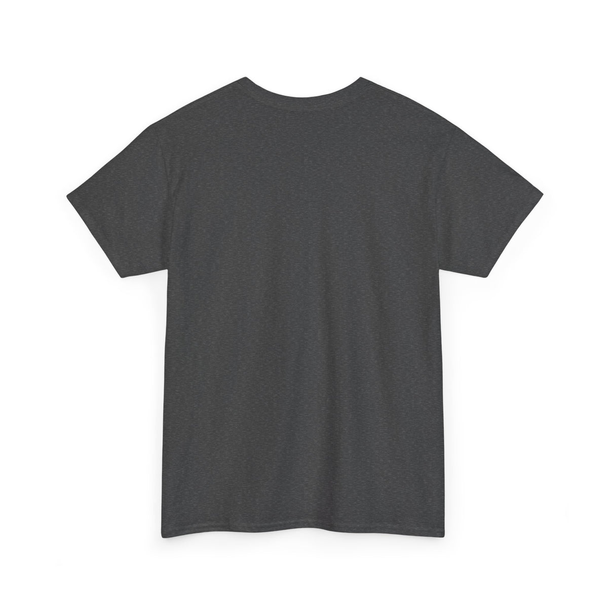 TESLA Double Truck Unisex Heavy Cotton Tee