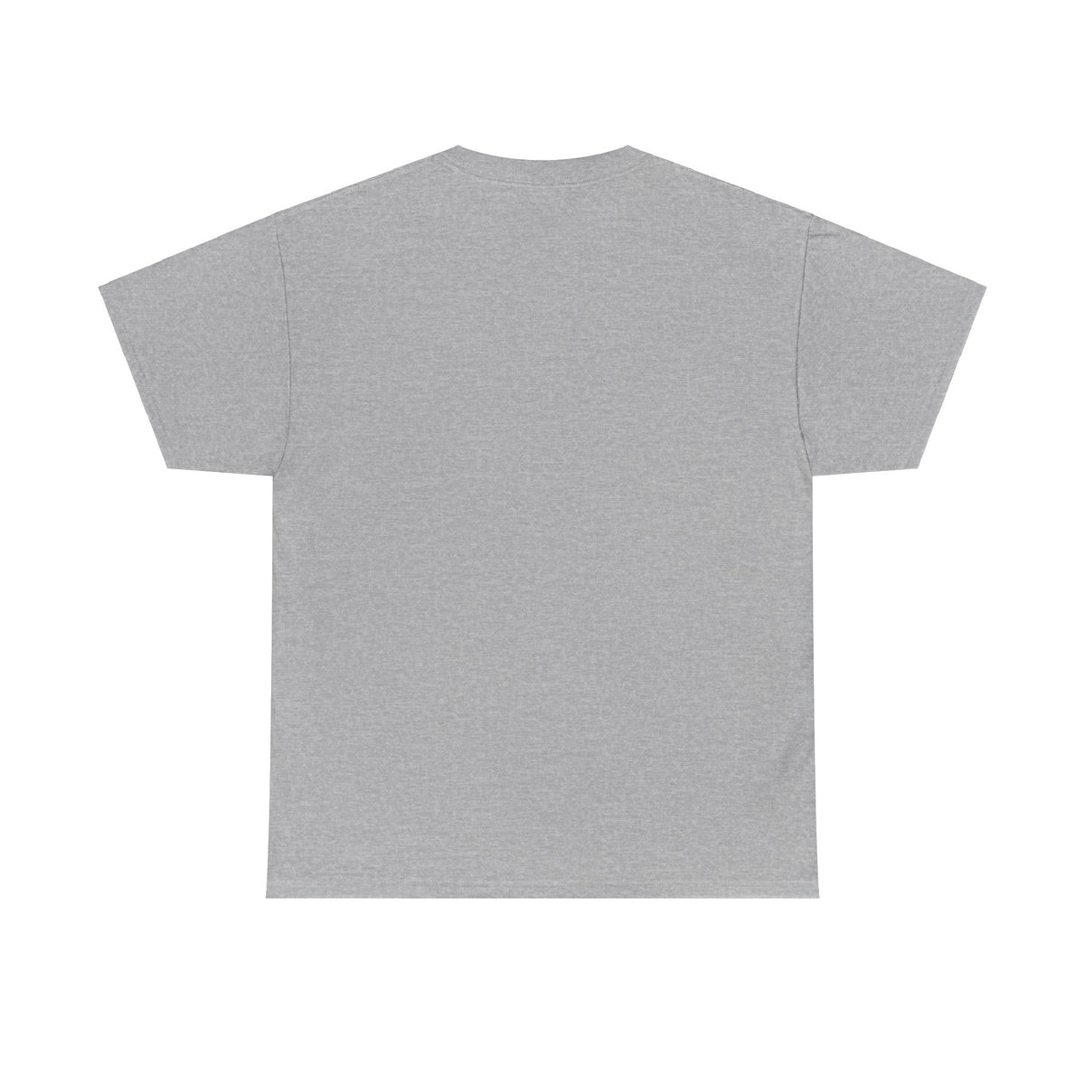 TESLA Double Truck Unisex Heavy Cotton Tee