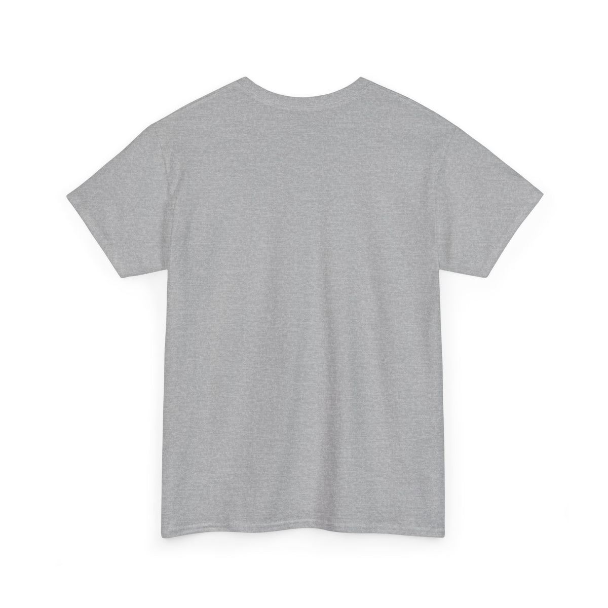 TESLA Double Truck Unisex Heavy Cotton Tee